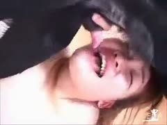 Fantastic display of pecker blowing skills as Asian legal age teenager blows dog 10-Pounder in her porn clip debut 